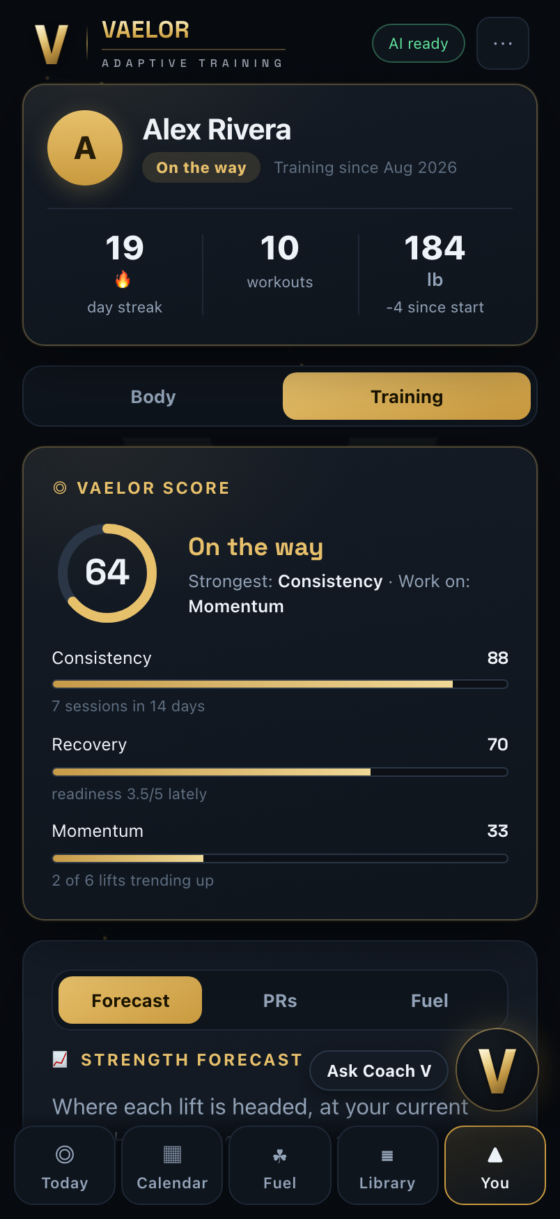 Vaelor progress, forecast and personal records
